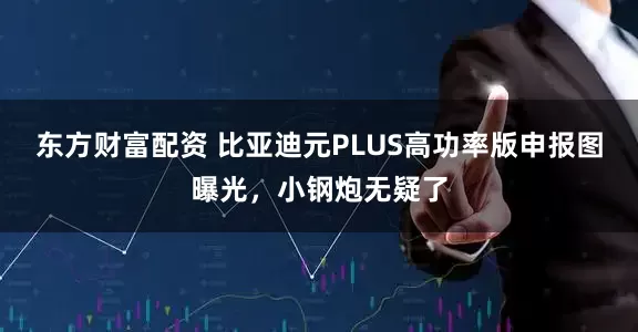 东方财富配资 比亚迪元PLUS高功率版申报图曝光,小钢炮无疑了